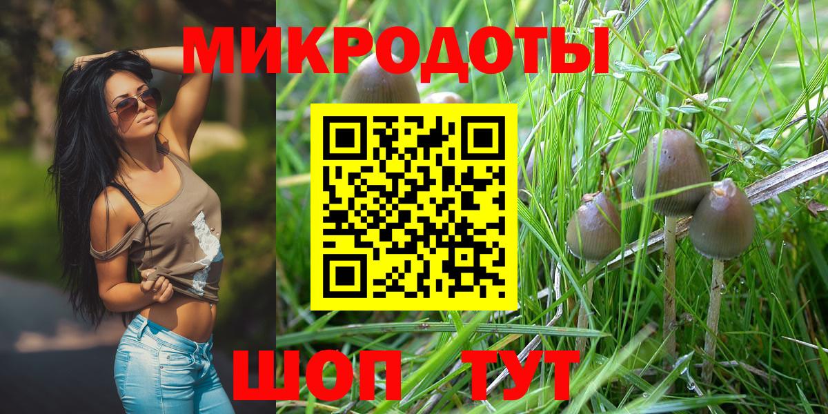 купить наркотик  Псилоцибиновые грибы Magic Shrooms  Вход с VPN  Алатырь 